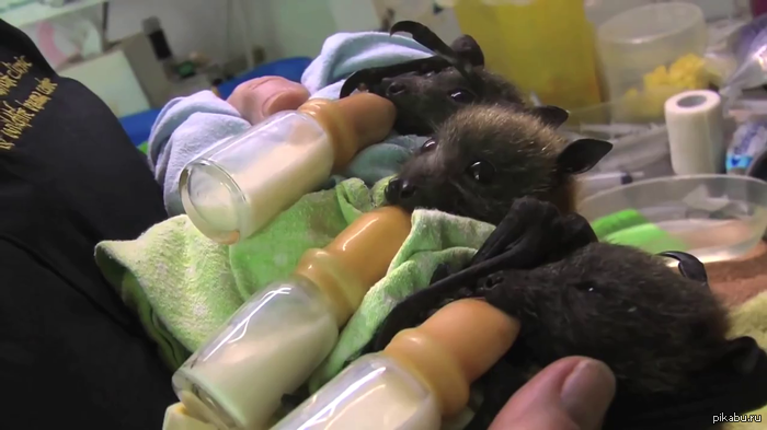 �������, �������, �������... ���������� ����� ���������� � ����� ����� "��-��-��"! )))