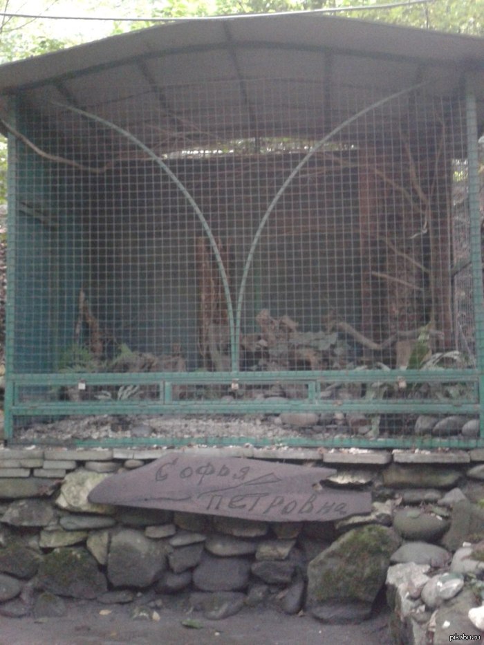 Сбежала, видимо...