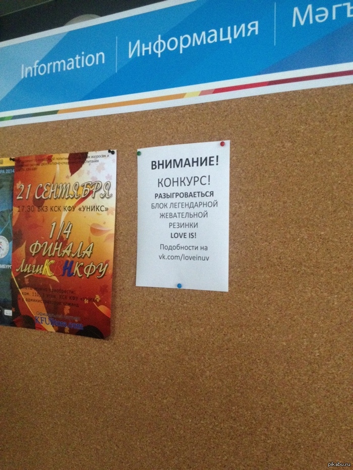 � ������ ���