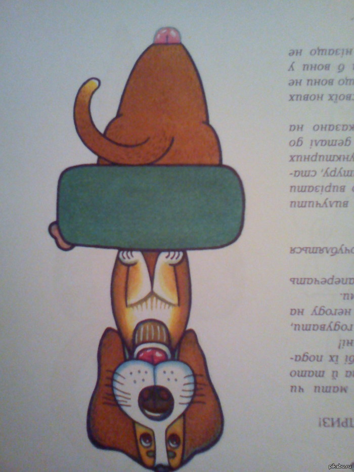 �������� ���������� �� ������� �����.���������,������,���� ���� ����� �������� � ������� ������� �������