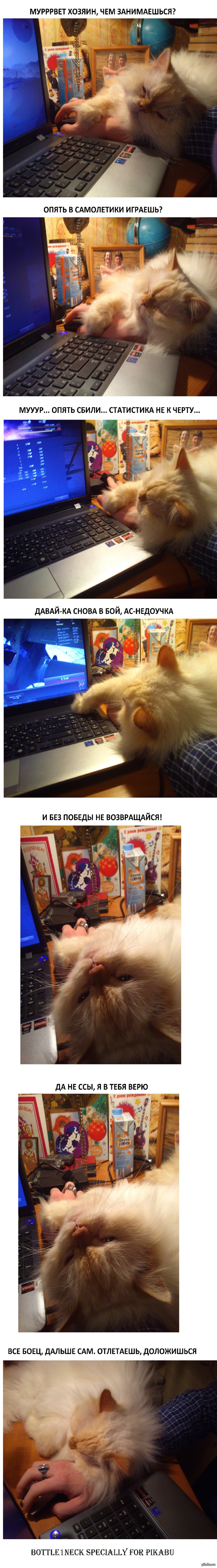 ��� ��� ����� ��� ������