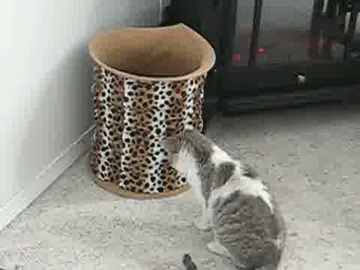 Там что-то есть