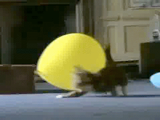 ��� ��� �������