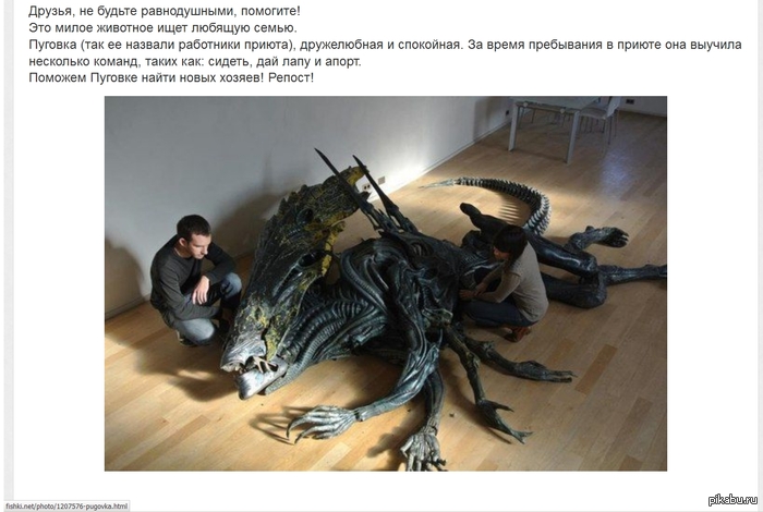 Помогите, максимальный репост.