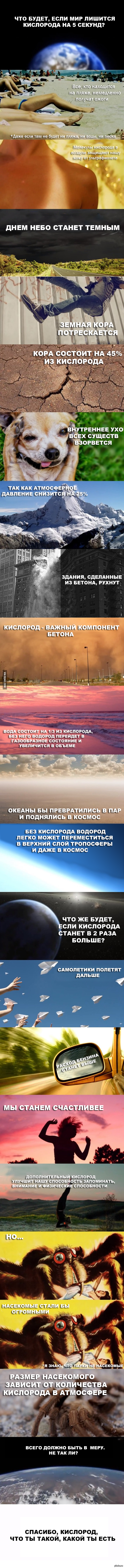 Что будет, если кислород исчезнет на 5 секунд?