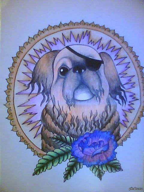 Нужен совет. | Пикабу