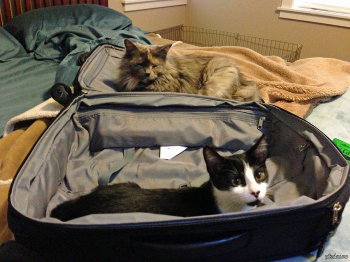 "����� ��� ������� ����?"