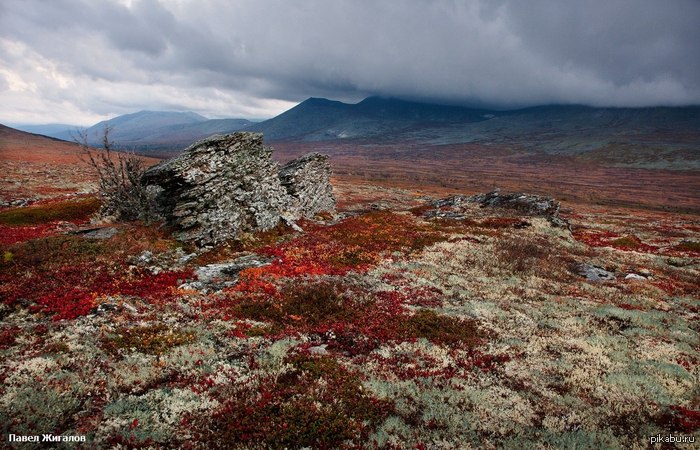 ����� � ��������� �����������. �������� ����