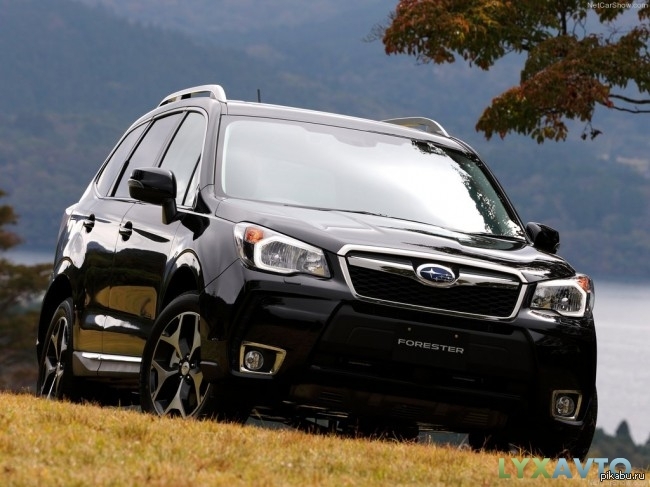 Subaru Forester 2013 -            + .