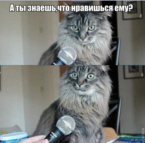 Вот это новость