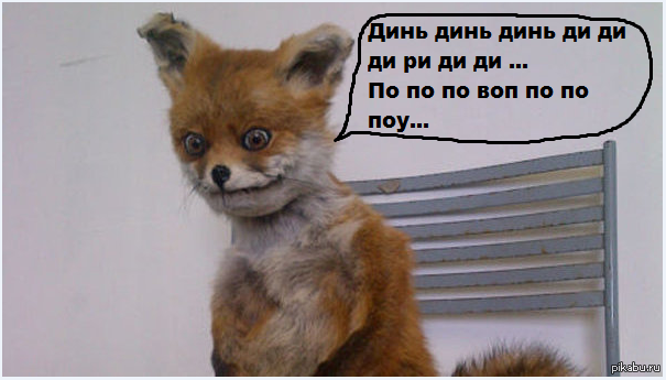 Упоротые шутки. Упоротые шутки. Анекдоты в картинках с надписями. Фотография мем. Смешной роутер.