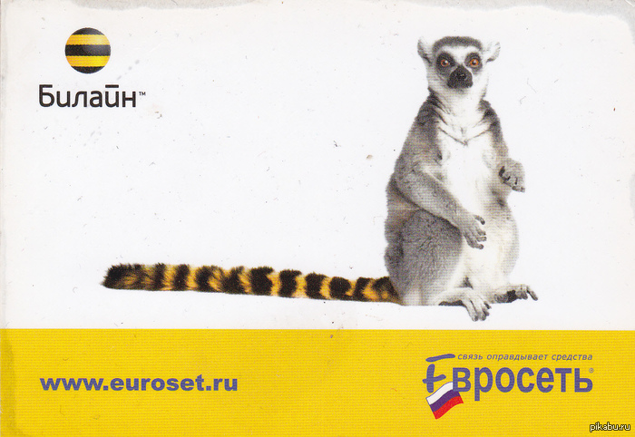 ����������� ������� �� ������