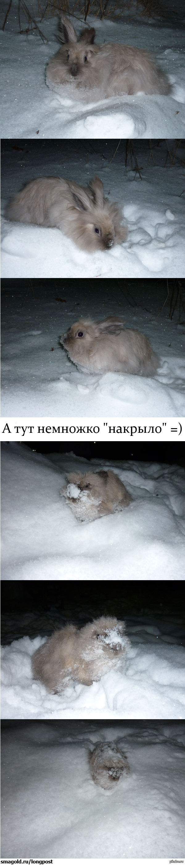        :)