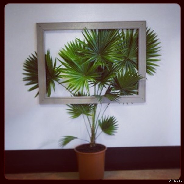 Креативная картина.