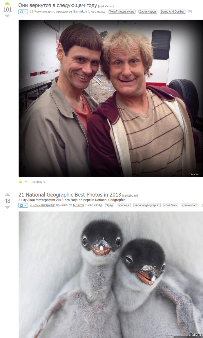 ���������� ����������:)