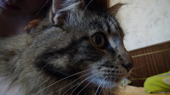 ������� �� ���� ���� :)