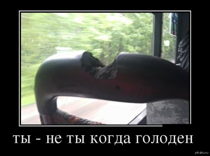 �� - �� ��, ����� �������