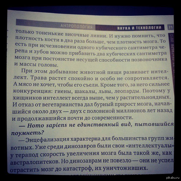 �������������� - ��� ���������� �������� ��� ����.