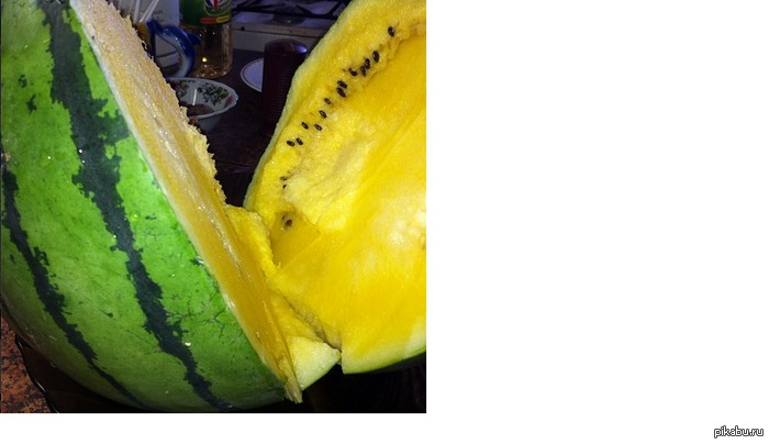 ������ �����