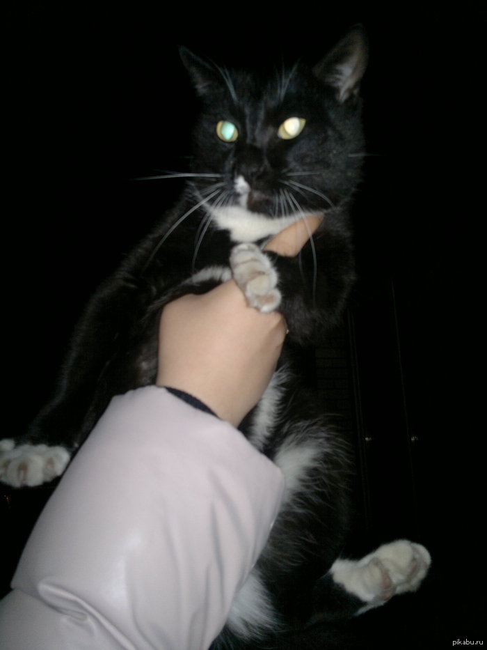 Добрым пикабушникам Новосибирска!