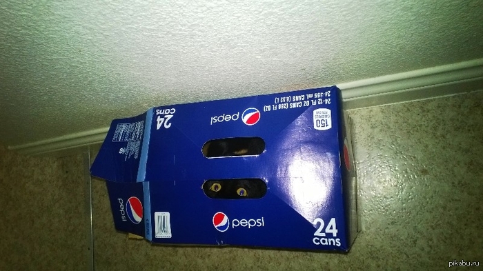   Pepsi,     