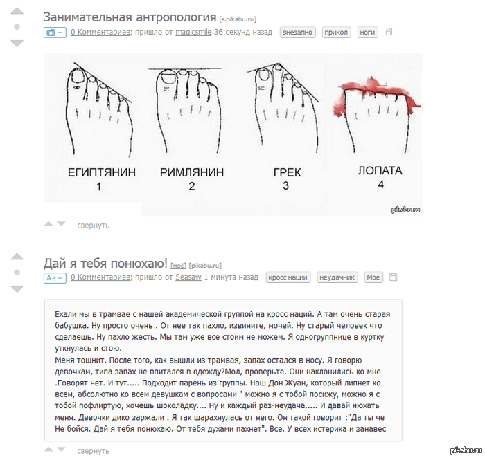 �������� ����������.