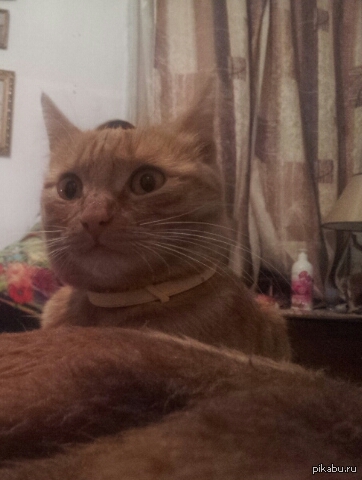 ��� � ��� �� ������ !)