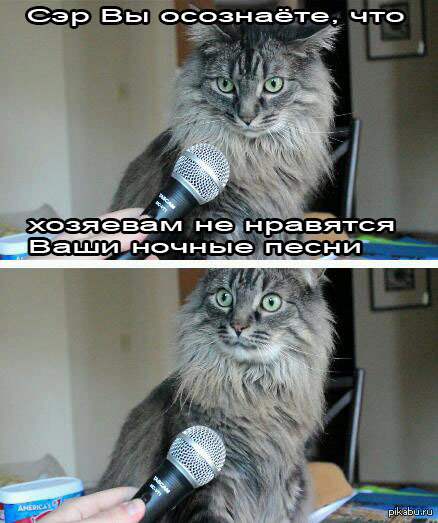 Ночные песни.