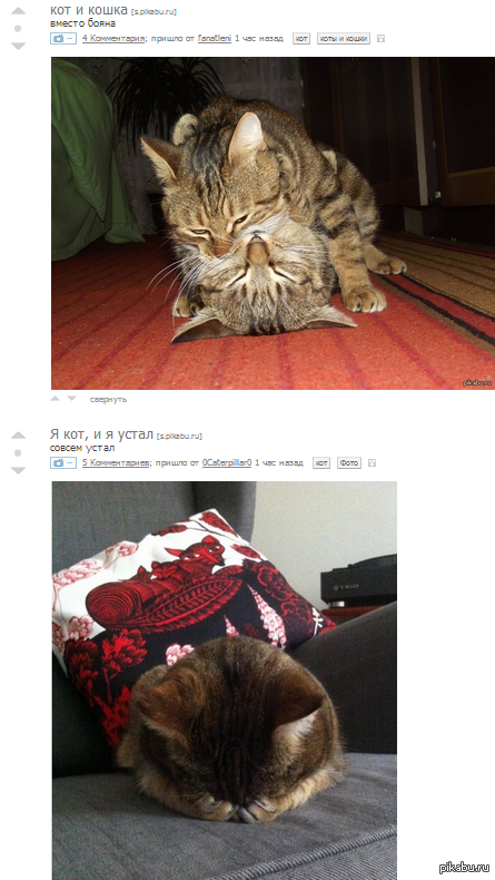 ���, �� ���� � ����� ������� ��������� ���������...