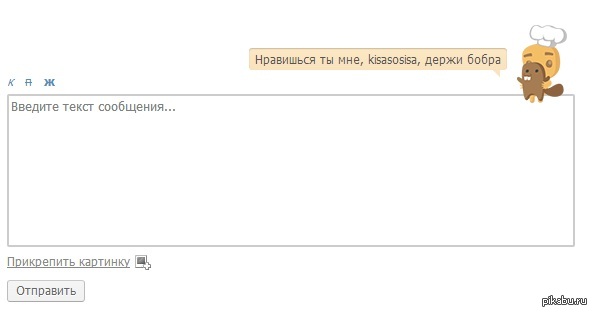 Всем бобра | Пикабу