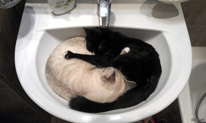 � ������ ��� ����� �����? ��� ��� ��� ��������.