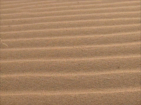 ������, ������, ����� ������!!!