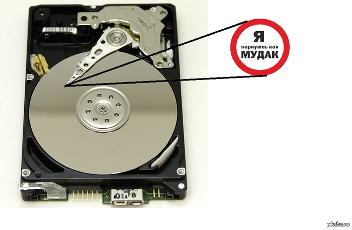 � �������� ��� �*���