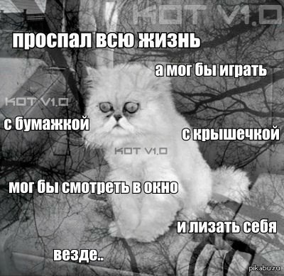 ����,����� ����