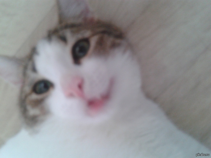   ...  ,     :)