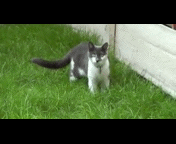 �������� ���������.