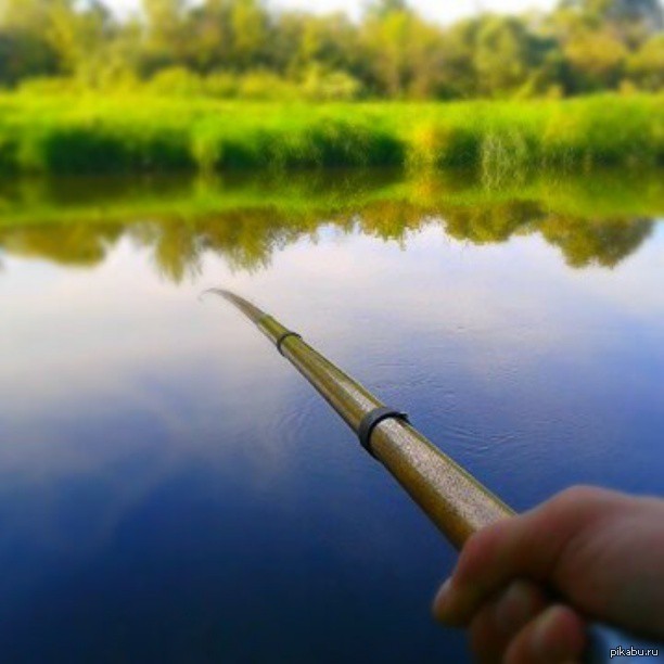 18.08.2013 | Пикабу