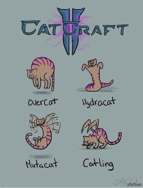 СтарКрафт + Котюни | Пикабу
