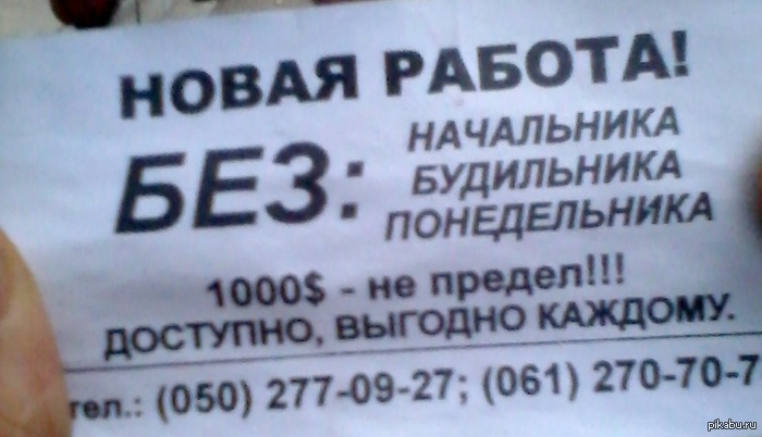 ...И, конечно, без зарплаты | Пикабу