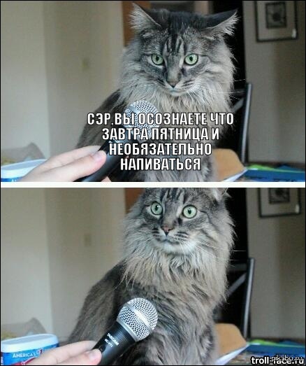 Планктонам посвящается