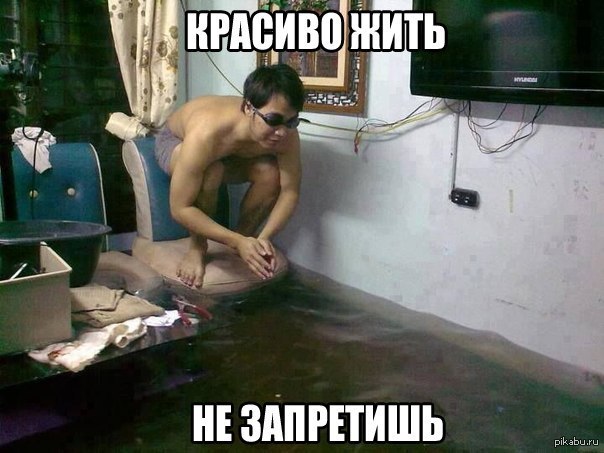 Красиво жить не запретишь
