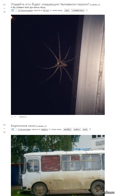 "����� ������ �������" ��� "��� ������� ��� ���� �����"