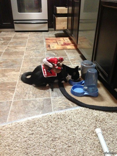 ��� ������... ���������!