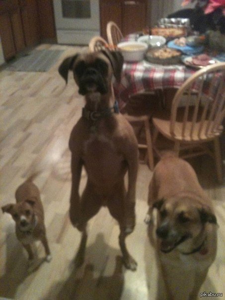 ��� �����, � �� ������, ��� �� �������.