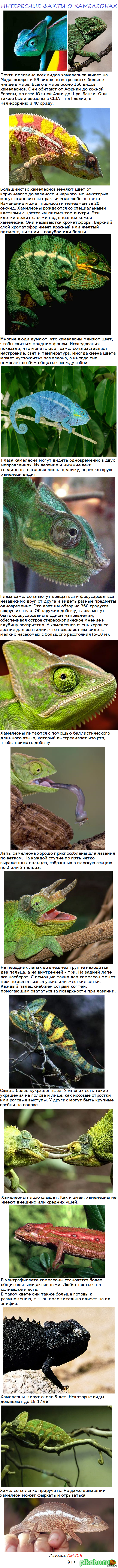 ���������� � ����������.