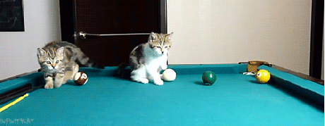 ������ ������ � �������.