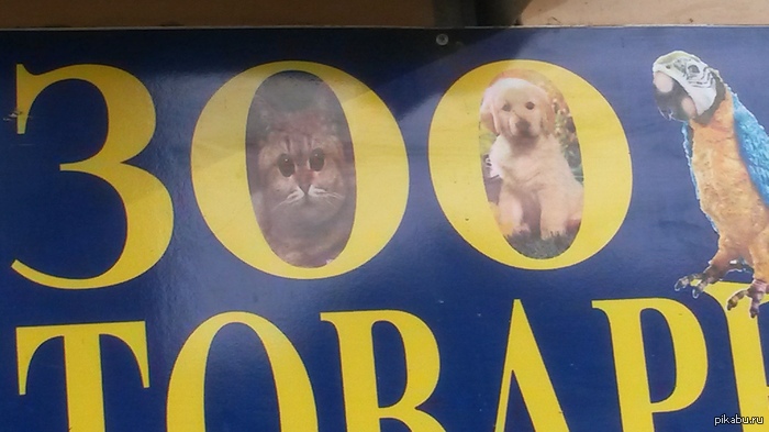 Ох этот кот...