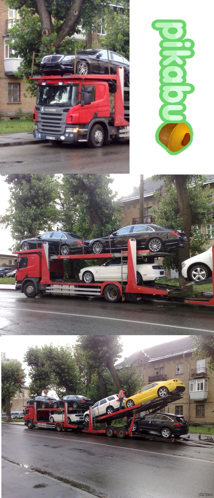 ������ �����