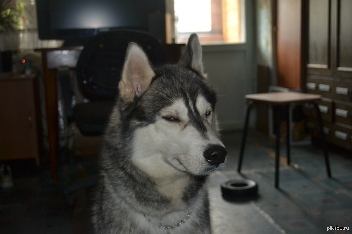 �� ���� ��� �� �����������!)