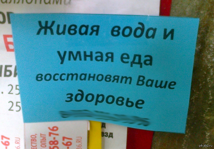 Сначала они оживают и умнеют, а потом захватывают планету